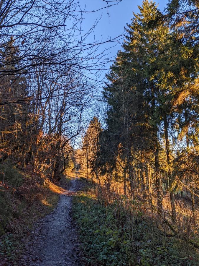 Zentrale Und Gemuetliche Ferienwohnung In Winterberg Nah An Der Natur 외부 사진