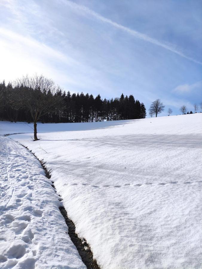 Zentrale Und Gemuetliche Ferienwohnung In Winterberg Nah An Der Natur 외부 사진