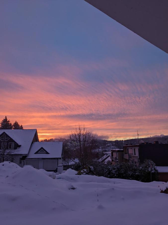 Zentrale Und Gemuetliche Ferienwohnung In Winterberg Nah An Der Natur 외부 사진
